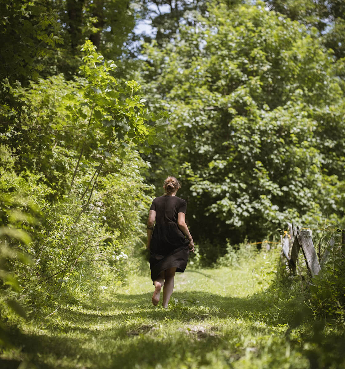 Wanderung durch den Wald